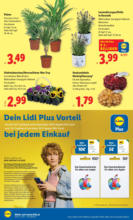 Lidl Lidl: Flugblatt in deiner Nähe - ab 28.08.2025