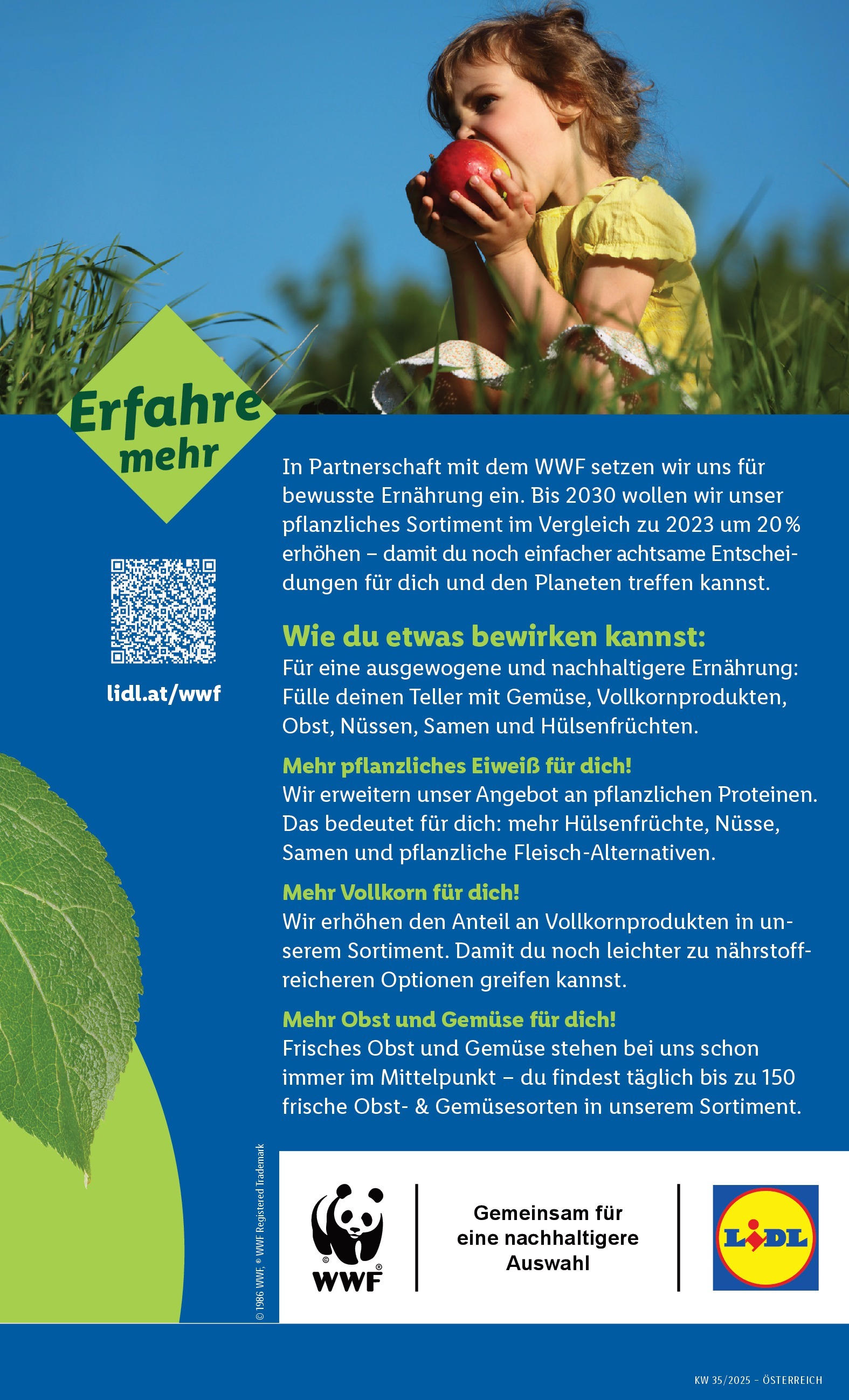 Lidl - Lidl: Flugblatt in deiner Nähe ab 27.08.2025 - Angebote ab donnerstag | Seite: 47 | Produkte: Gemüse, Obst