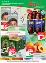 Oferta handlowa ważna od 20.08. Do 26.08.2025 Dino – do 26.08.2025