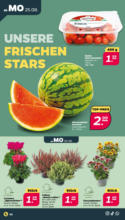 Netto APS : Wochenangebote