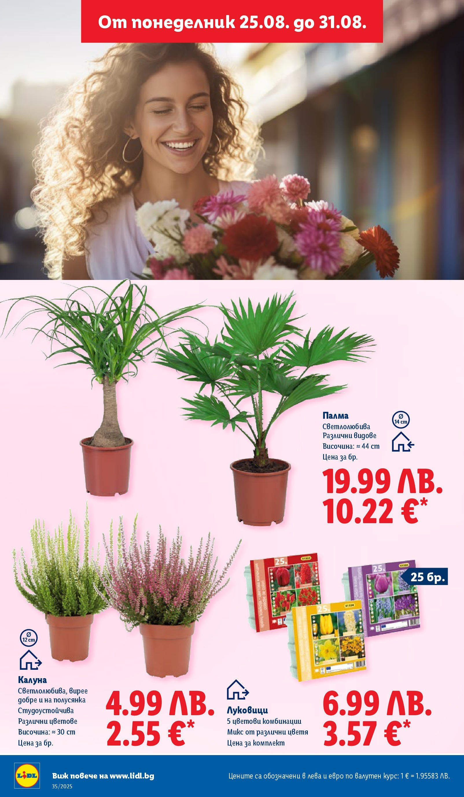Cедмична брошура на Лидл от 25.08.2025 | Страница: 60 | Продукти: Палма