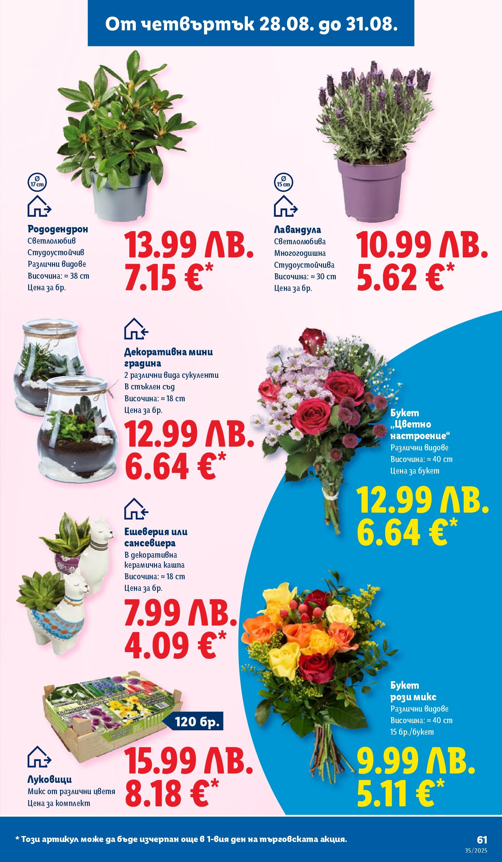 Cедмична брошура на Лидл от 25.08.2025 | Страница: 61