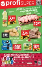 Profi Catalog Profi până în data de 02.09.2025 - până la 02-09-25
