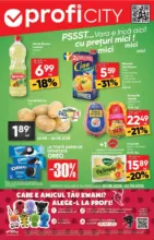 Profi Catalog Profi până în data de 02.09.2025 - până la 02-09-25