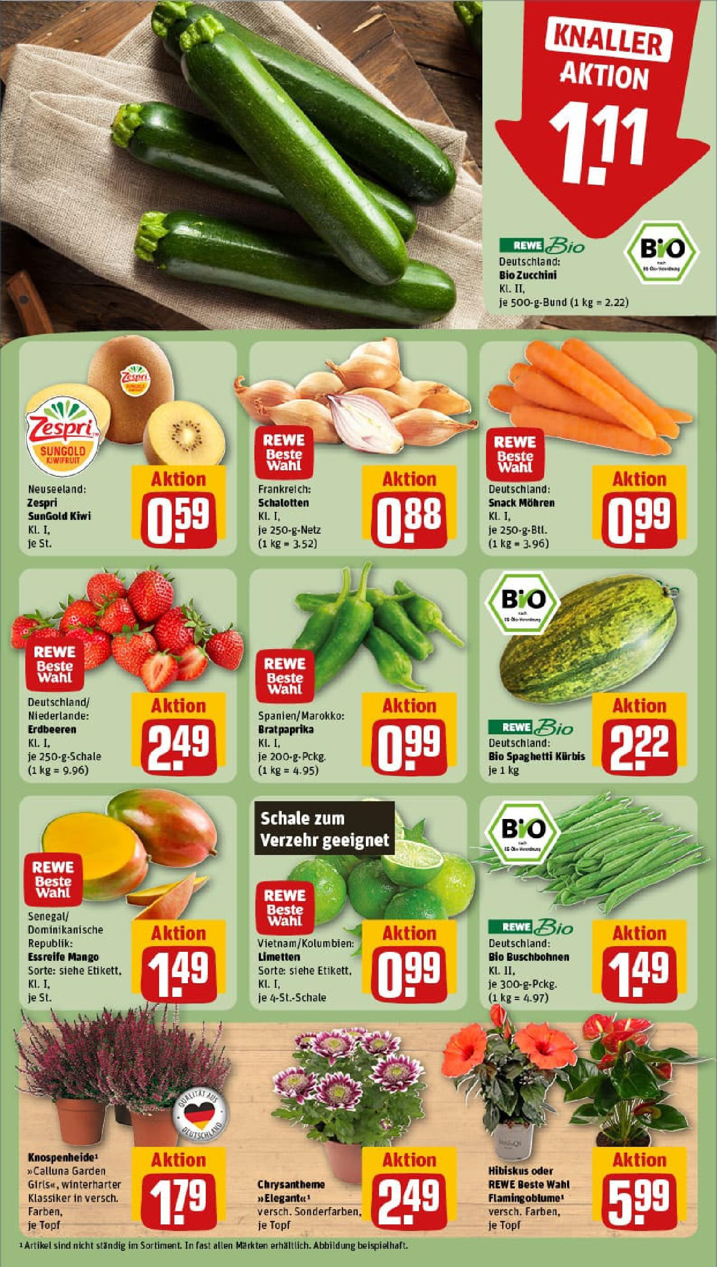 REWE Prospekt ab 24.08.2025 zum Blättern » Angebote | Seite: 7 | Produkte: Mohren, Mango, Zucchini, Kiwi REWE Prospekt ab 24.08.2025 zum Blättern » Angebote | Seite: 7 | Produkte: Mohren, Mango, Zucchini, Kiwi