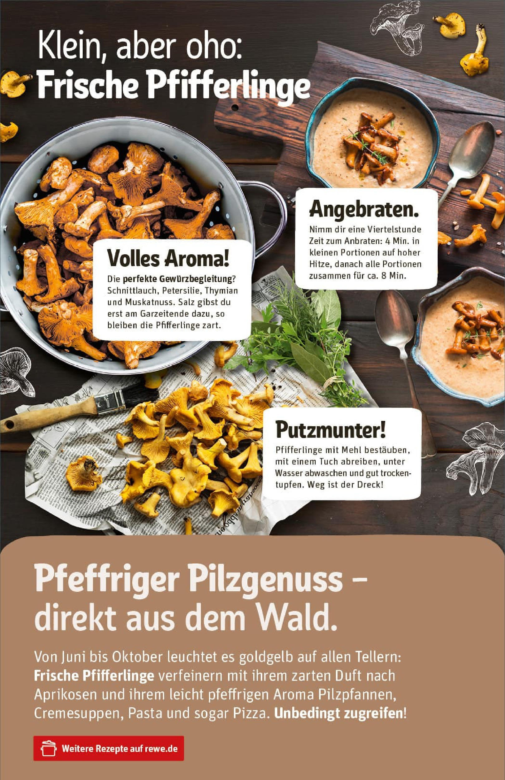 REWE Prospekt ab 24.08.2025 zum Blättern » Angebote | Seite: 15 | Produkte: Mehl, Duft, Salz, Pfifferlinge REWE Prospekt ab 24.08.2025 zum Blättern » Angebote | Seite: 15 | Produkte: Mehl, Duft, Salz, Pfifferlinge