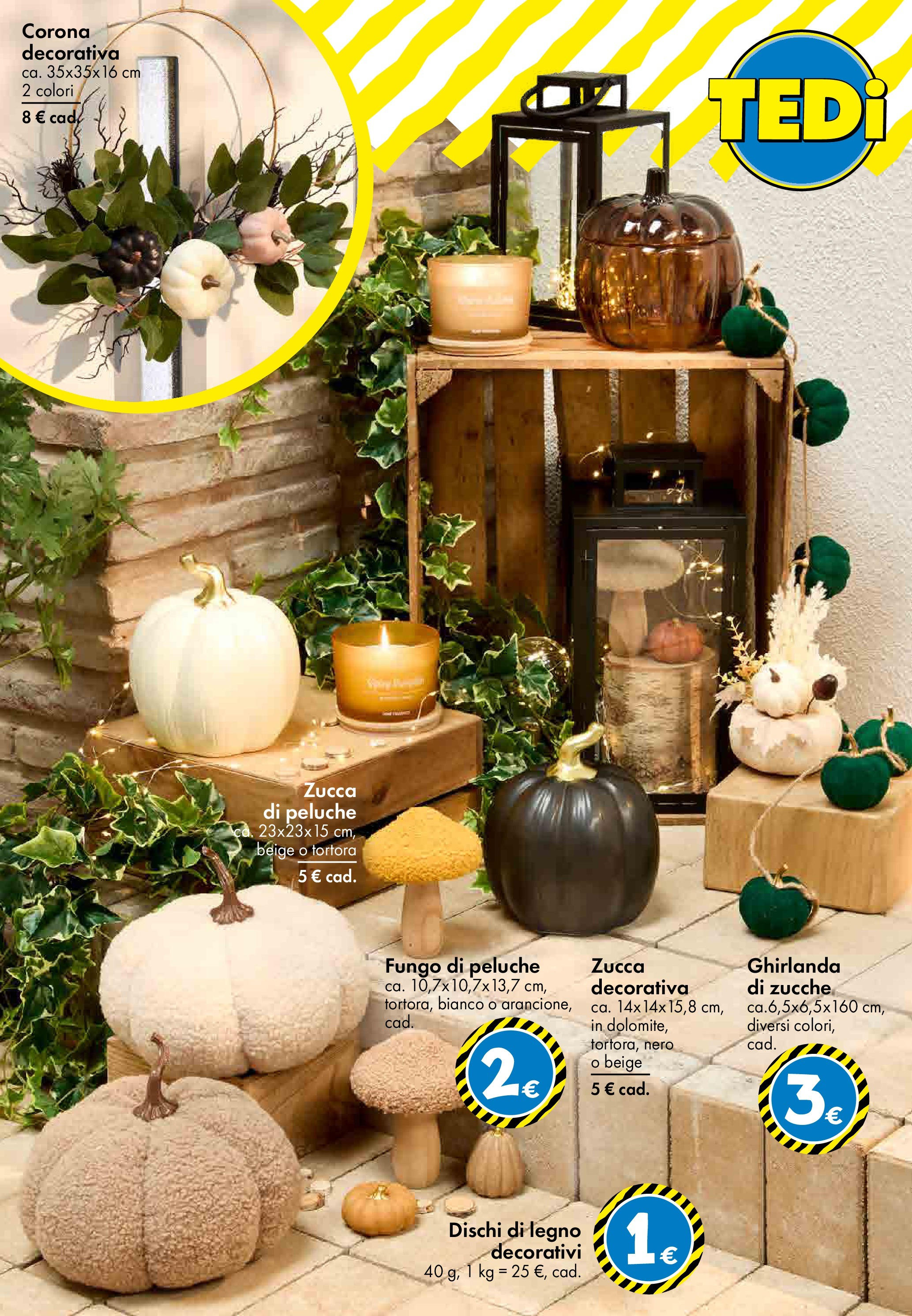 Nuovo TEDi - TEDi volantino fino al 30.08.2025 dal 20/08/2025 > offerte anteprima 🛍️ | Pagina: 18 | Prodotti: Peluche, Zucca