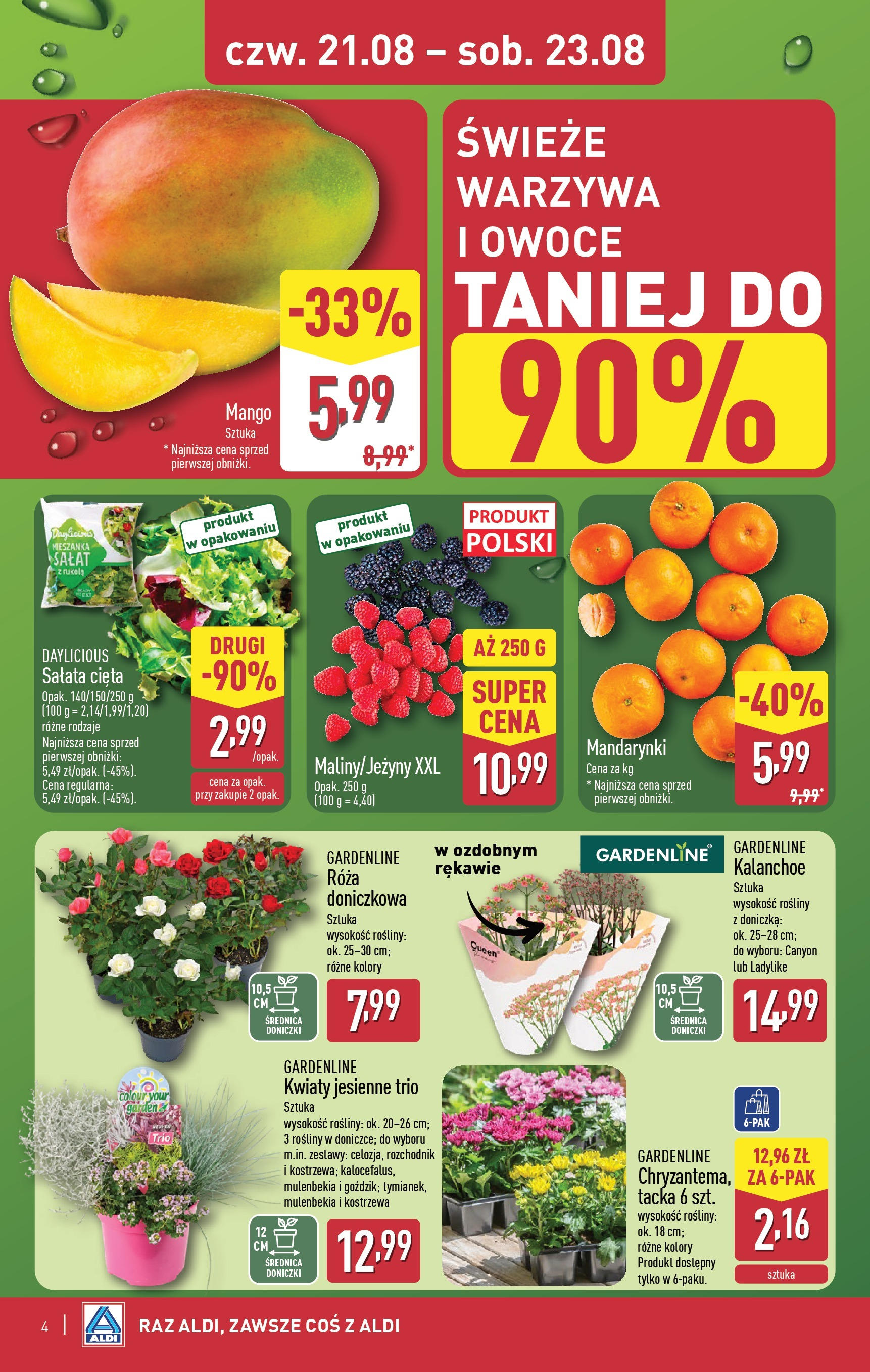 Aldi Gazetka - Okazje na weekend od 21.08.2025 - Ulotka PDF, promocje | Strona: 4 | Produkty: Kalanchoe, Mandarynki, Kwiaty, Warzywa