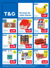 T&G: Flugblatt