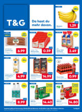 T&G: Flugblatt