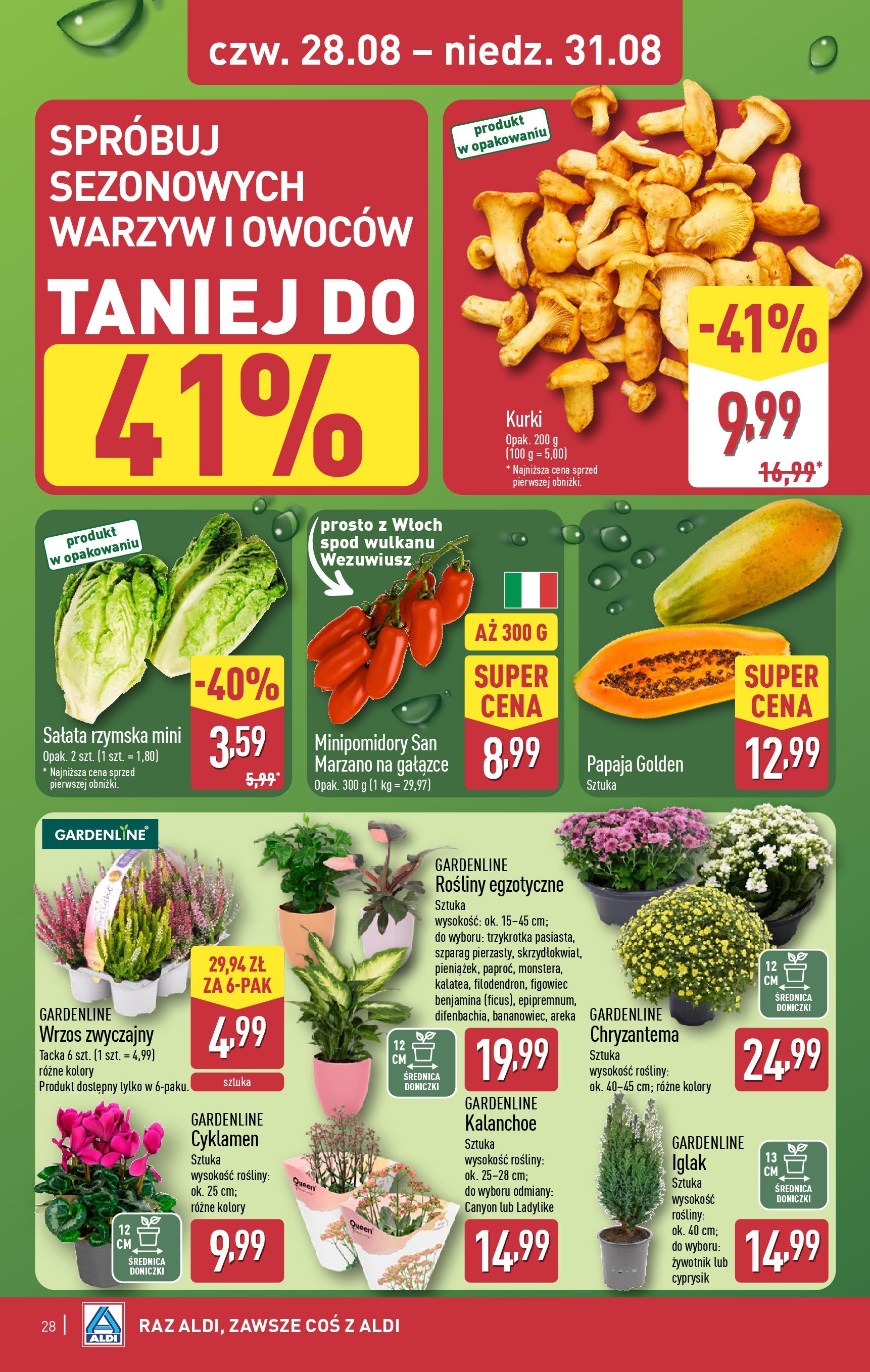 Aldi - Gazetka cała ALDI do 31.08 od 24.08.2025 | Nowa PDF gazetka | Strona: 28 | Produkty: Papaja, Rosliny, Doniczki, Kalanchoe Aldi - Gazetka cała ALDI do 31.08 od 24.08.2025 - Ulotka PDF, promocje | Strona: 28 | Produkty: Papaja, Rosliny, Doniczki, Kalanchoe