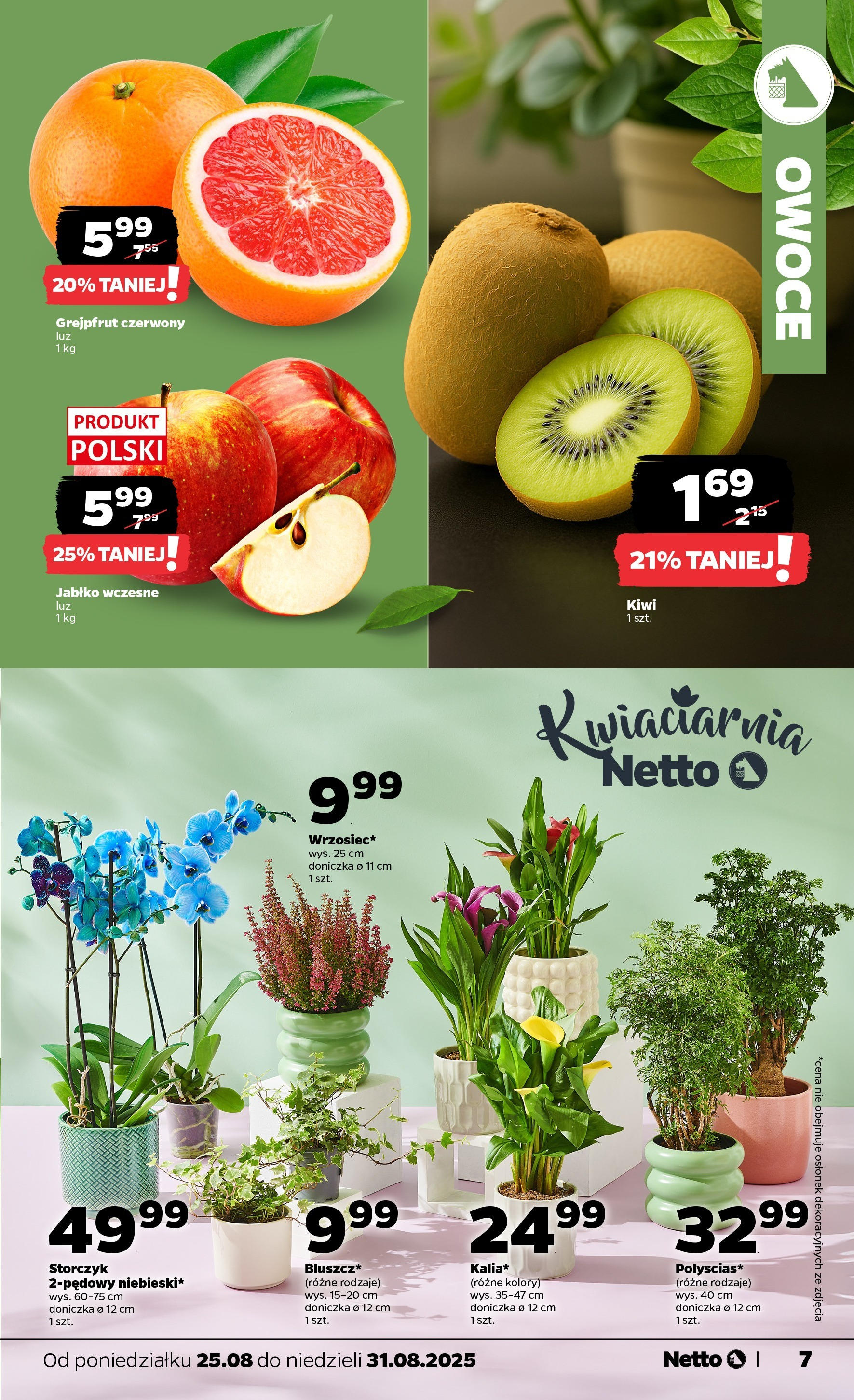 Netto - NETTO T35A ważne do 31.08 od 24.08.2025 | Promocje | Strona: 7 Netto - NETTO T35A ważne do 31.08 od 24.08.2025 - Aktualne promocje | Strona: 7