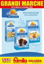 Grandi Marche