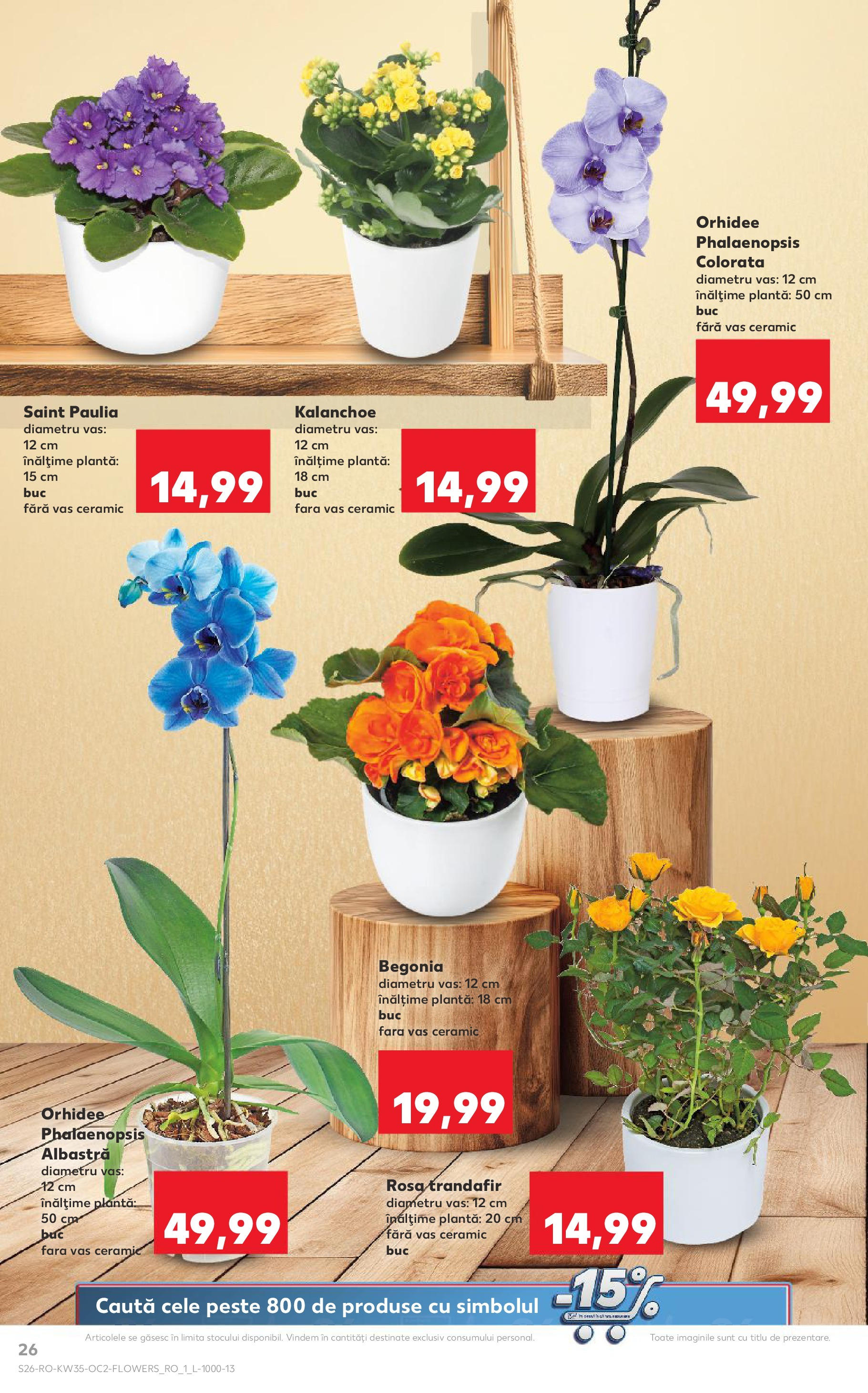 Catalog Kaufland - Deva 27.08.2025 - Revista si Oferta | Pagină: 26 | Produse: Trandafir, Orhidee, Pește