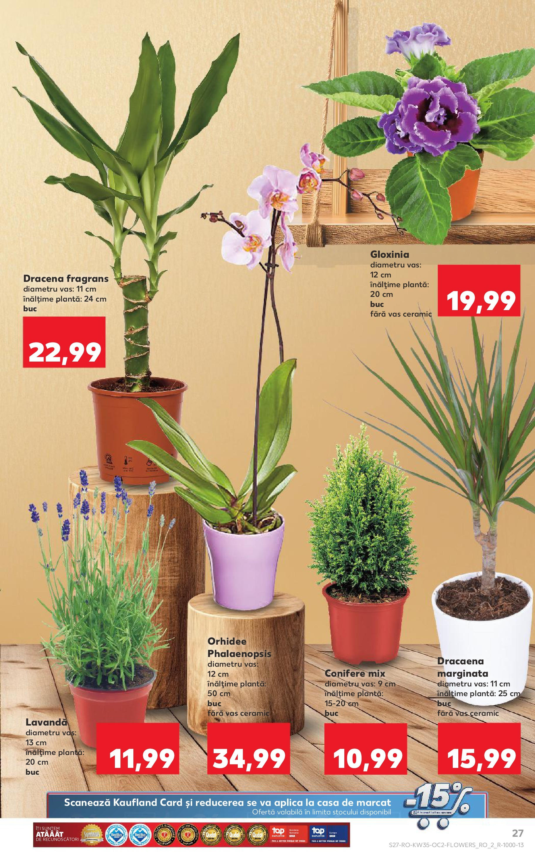 Catalog Kaufland - Deva 27.08.2025 - Revista si Oferta | Pagină: 27 | Produse: Orhidee