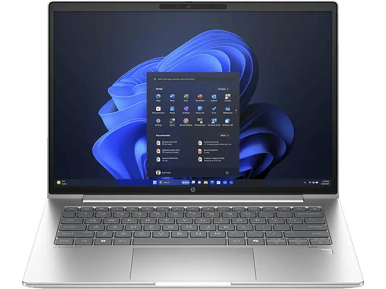 HP ProBook 445 G11 Notebook 14 Zoll, WUXGA, AMD Ryzen™ 5 7535U Prozessor, 8 GB RAM, 256 SSD, Windows 11 Pro, Radeon™ 660M, Pike Silver