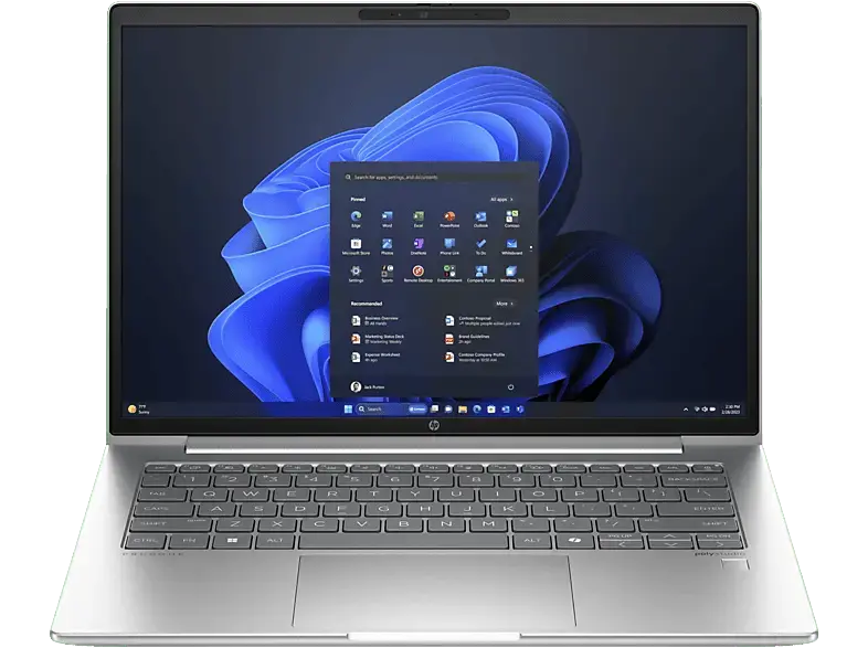 HP ProBook 445 G11 Notebook 14 Zoll, WUXGA, AMD Ryzen™ 5 7535U Prozessor, 8 GB RAM, 256 SSD, Windows 11 Pro, Radeon™ 660M, Pike Silver