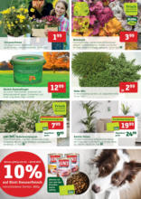 Pflanzen-Kölle: Monat für Monat gute Preise