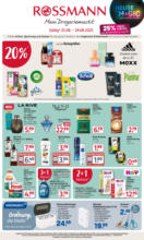 Rossmann: Angebotsprospekt