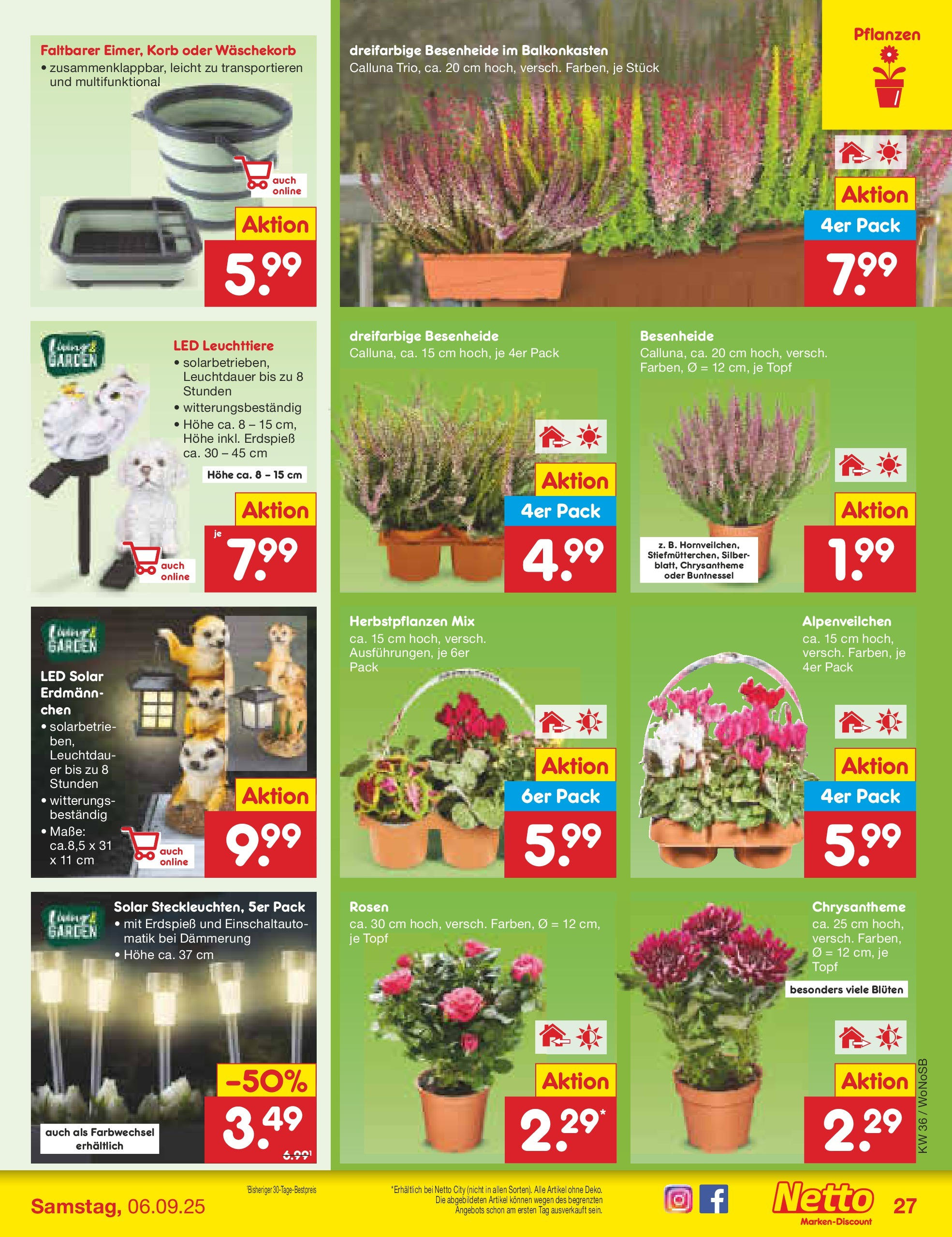Netto Marken-Discount prospekt Frankfurt (ab 01.09.2025) » Angebote | Seite: 37 | Produkte: Korb Netto Marken-Discount prospekt Frankfurt (ab 01.09.2025) » Angebote | Seite: 37 | Produkte: Korb