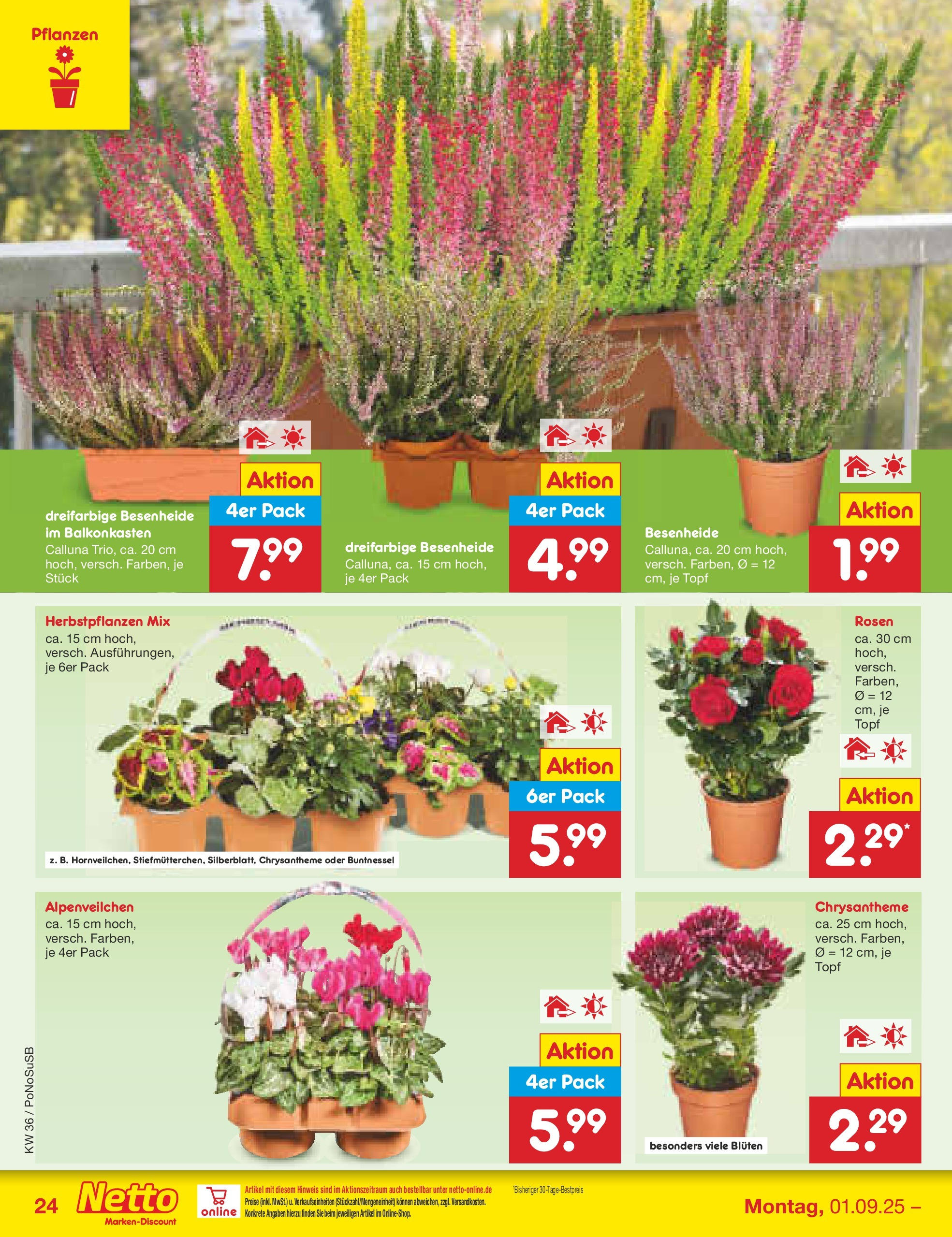 Netto Marken-Discount prospekt Amberg (ab 01.09.2025) » Angebote | Seite: 34 Netto Marken-Discount prospekt Amberg (ab 01.09.2025) » Angebote | Seite: 34