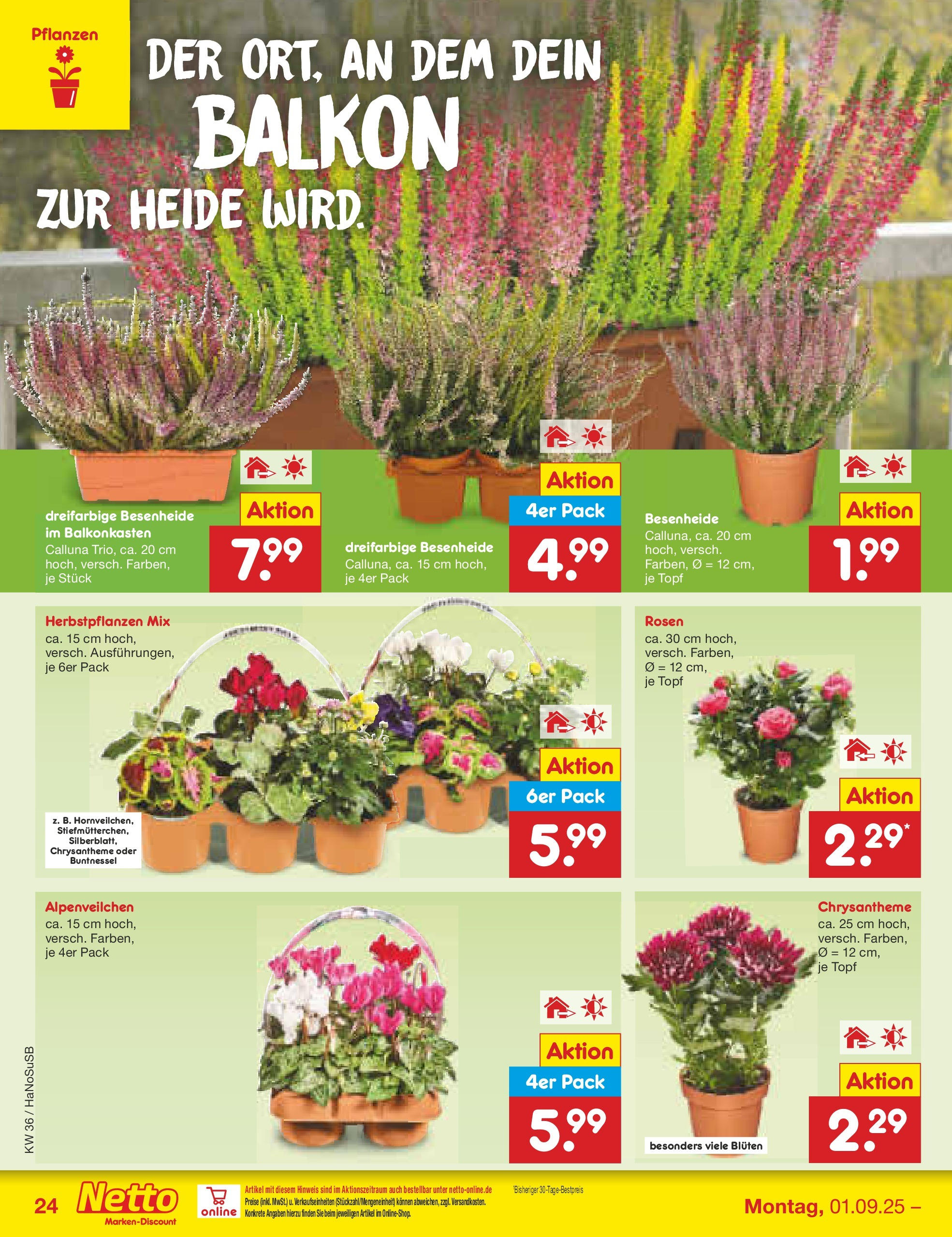 Netto Marken-Discount prospekt Wuppertal (ab 01.09.2025) » Angebote | Seite: 34 Netto Marken-Discount prospekt Wuppertal (ab 01.09.2025) » Angebote | Seite: 34
