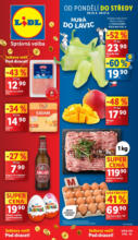 Lidl Lidl leták do 31.08.2025 – do 31.08.2025