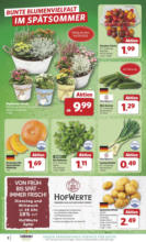 Combi - Angebote 01.09.-06.09.2025