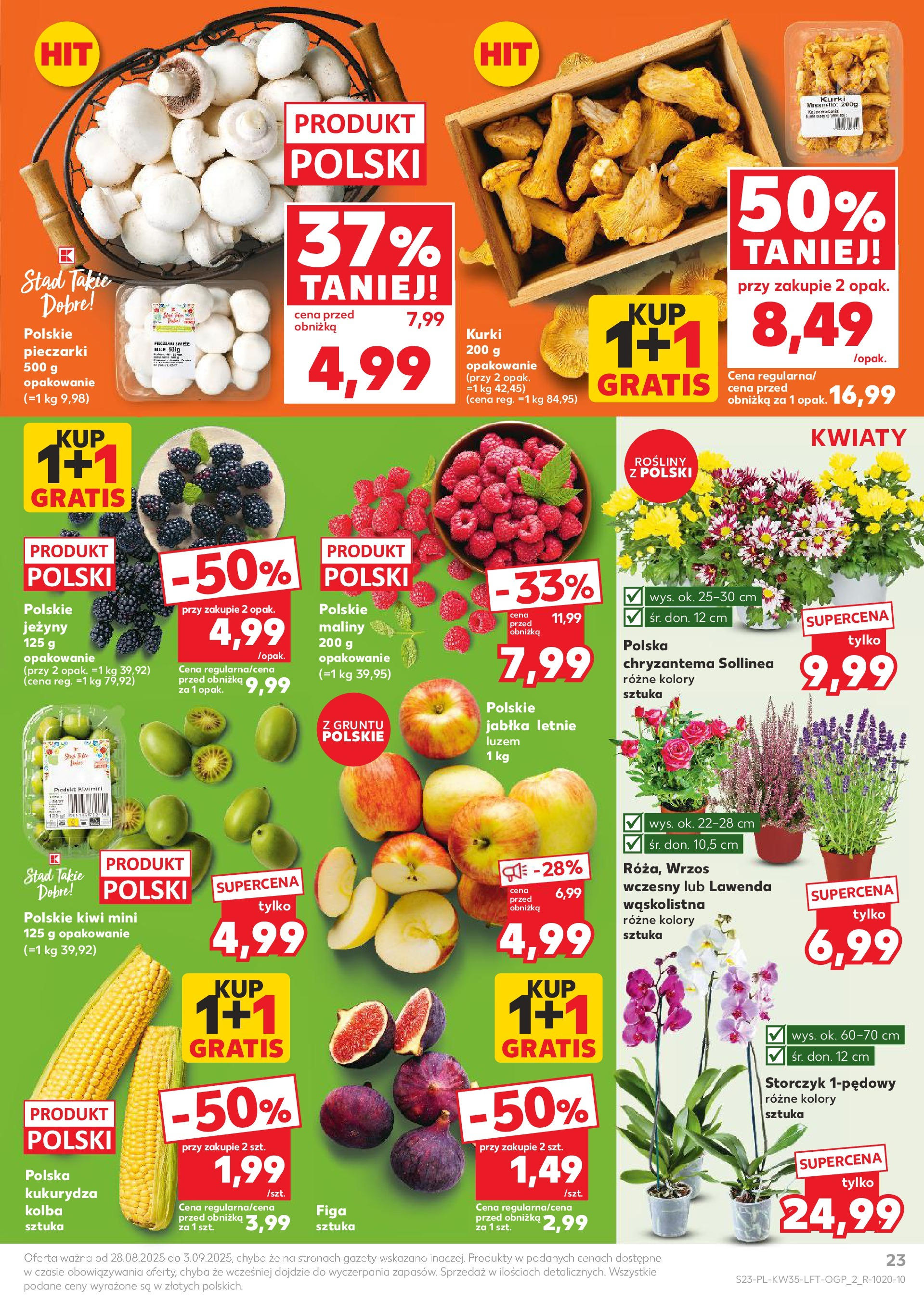 Kaufland gazetka (28.08.2025) - od jutra | Strona: 23 | Produkty: Pieczarki, Jabłka, Storczyk, Kiwi Kaufland gazetka od 28.08.2025 - od jutra PDF | Strona: 23 | Produkty: Pieczarki, Jabłka, Storczyk, Kiwi