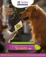 Ayoka Sconto del 5% - al 31.08.2025