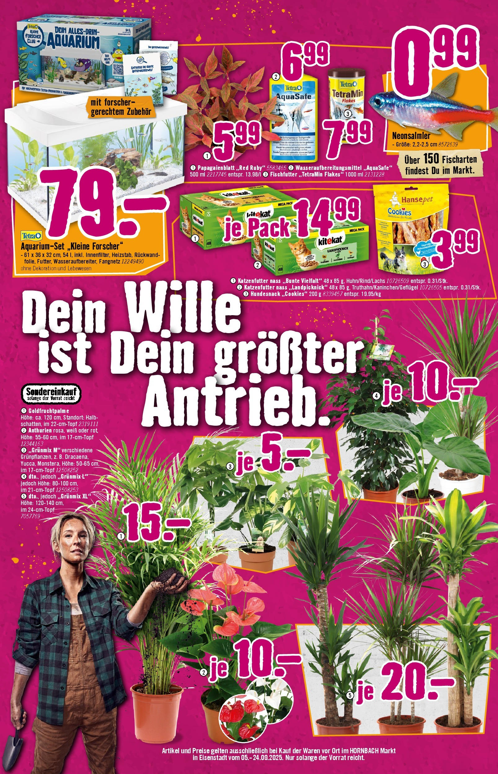 Hornbach Flugblatt (05.09.2025) || Aktuelle Angebote | Seite: 8 Hornbach Flugblatt von 05.09.2025 - Aktuelle Angebote | Seite: 8