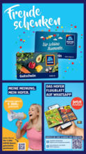 HOFER HOFER: Flugblatt - ab 29.08.2025