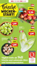 HOFER HOFER: Flugblatt - ab 29.08.2025
