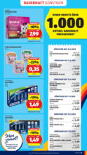 HOFER HOFER: Flugblatt - ab 29.08.2025