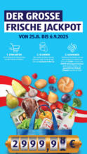 HOFER HOFER: Flugblatt - ab 29.08.2025