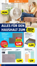 HOFER HOFER: Flugblatt - ab 29.08.2025