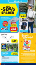 HOFER HOFER: Flugblatt - ab 29.08.2025