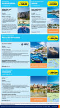 HOFER HOFER: Flugblatt - ab 29.08.2025