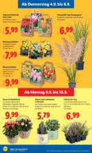 Lidl Lidl: Flugblatt in deiner Nähe - ab 04.09.2025