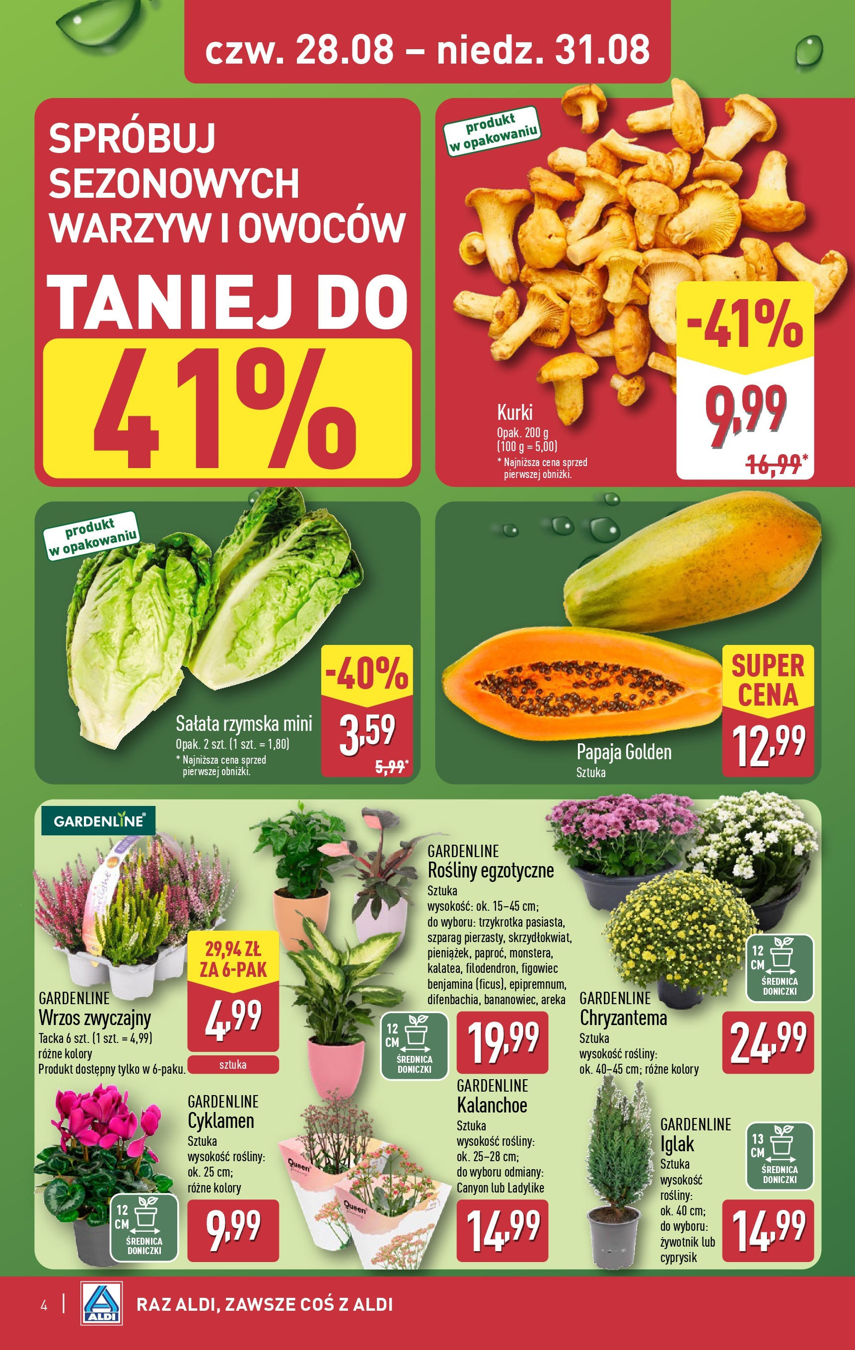 Aldi Gazetka - Okazje na weekend od 28.08.2025 | Nowa PDF gazetka | Strona: 4 | Produkty: Wrzos, Rosliny, Doniczki, Kalanchoe Aldi Gazetka - Okazje na weekend od 28.08.2025 - Ulotka PDF, promocje | Strona: 4 | Produkty: Wrzos, Rosliny, Doniczki, Kalanchoe