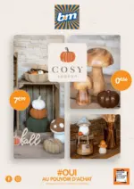 B&M Cosy - au 28.10.2025