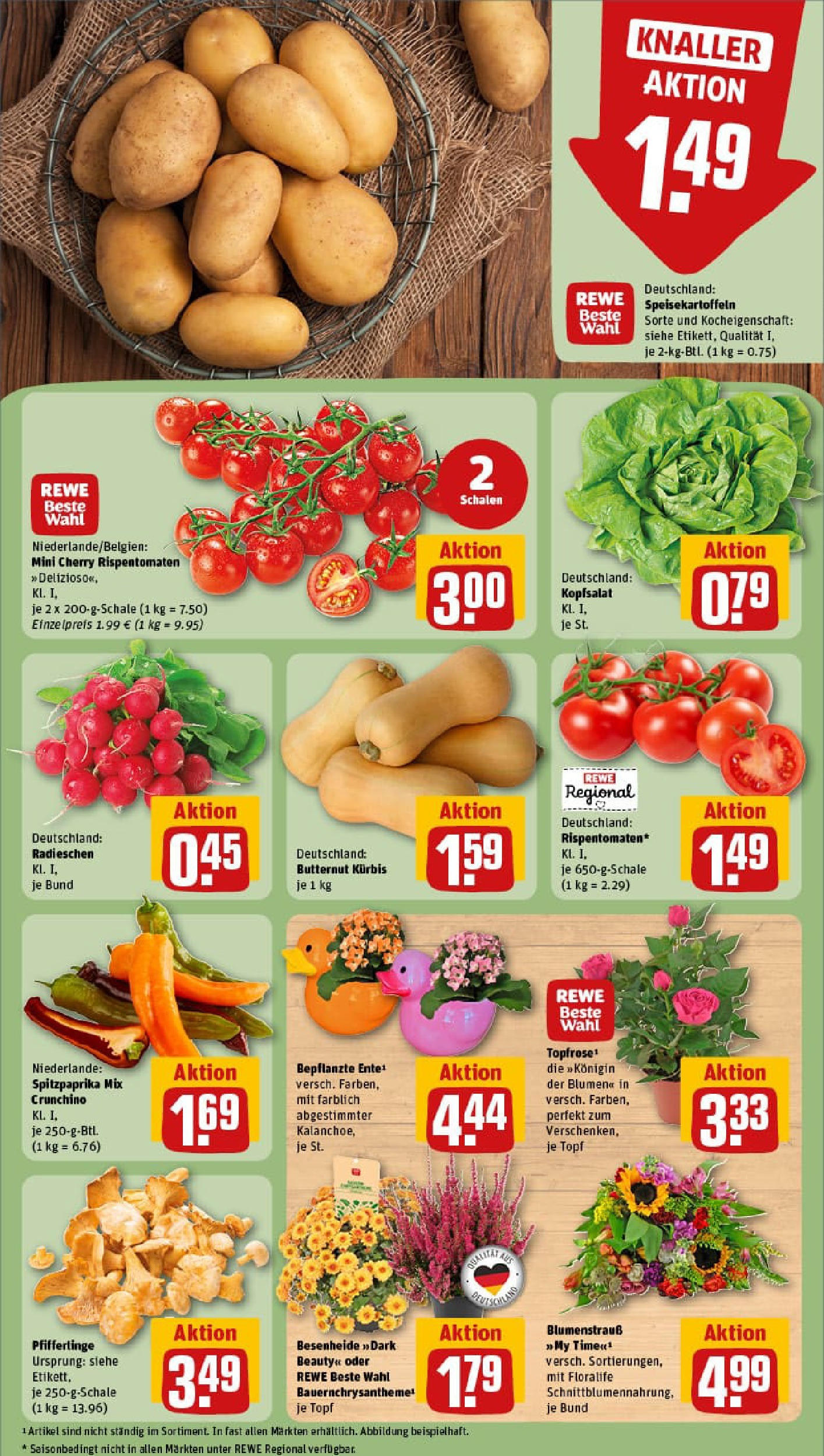 REWE Prospekt ab 01.09.2025 zum Blättern » Angebote | Seite: 9 | Produkte: Blumen, Pfifferlinge, Kürbis, Ente REWE Prospekt ab 01.09.2025 zum Blättern » Angebote | Seite: 9 | Produkte: Blumen, Pfifferlinge, Kürbis, Ente