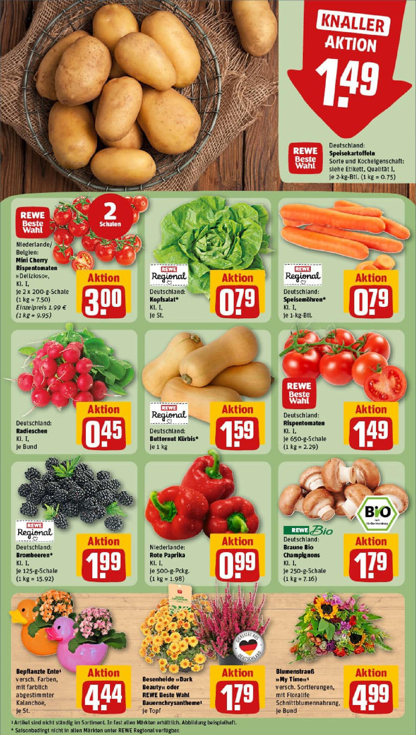 REWE Prospekt ab 01.09.2025 zum Blättern » Angebote | Seite: 5 | Produkte: Champignons, Paprika
