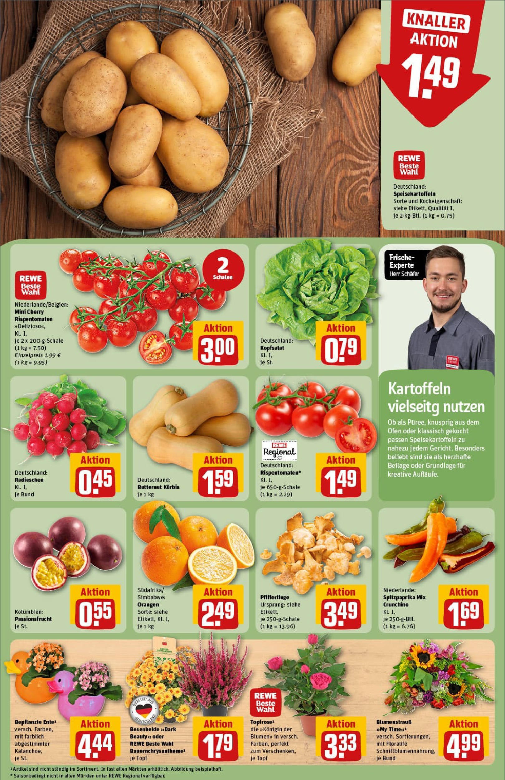 REWE Prospekt ab 01.09.2025 zum Blättern » Angebote | Seite: 9 | Produkte: Ofen, Blumen, Kartoffeln, Pfifferlinge REWE Prospekt ab 01.09.2025 zum Blättern » Angebote | Seite: 9 | Produkte: Ofen, Blumen, Kartoffeln, Pfifferlinge