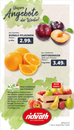 Rewe prospekt Bergheim	 gültig ab dem 01.09.2025