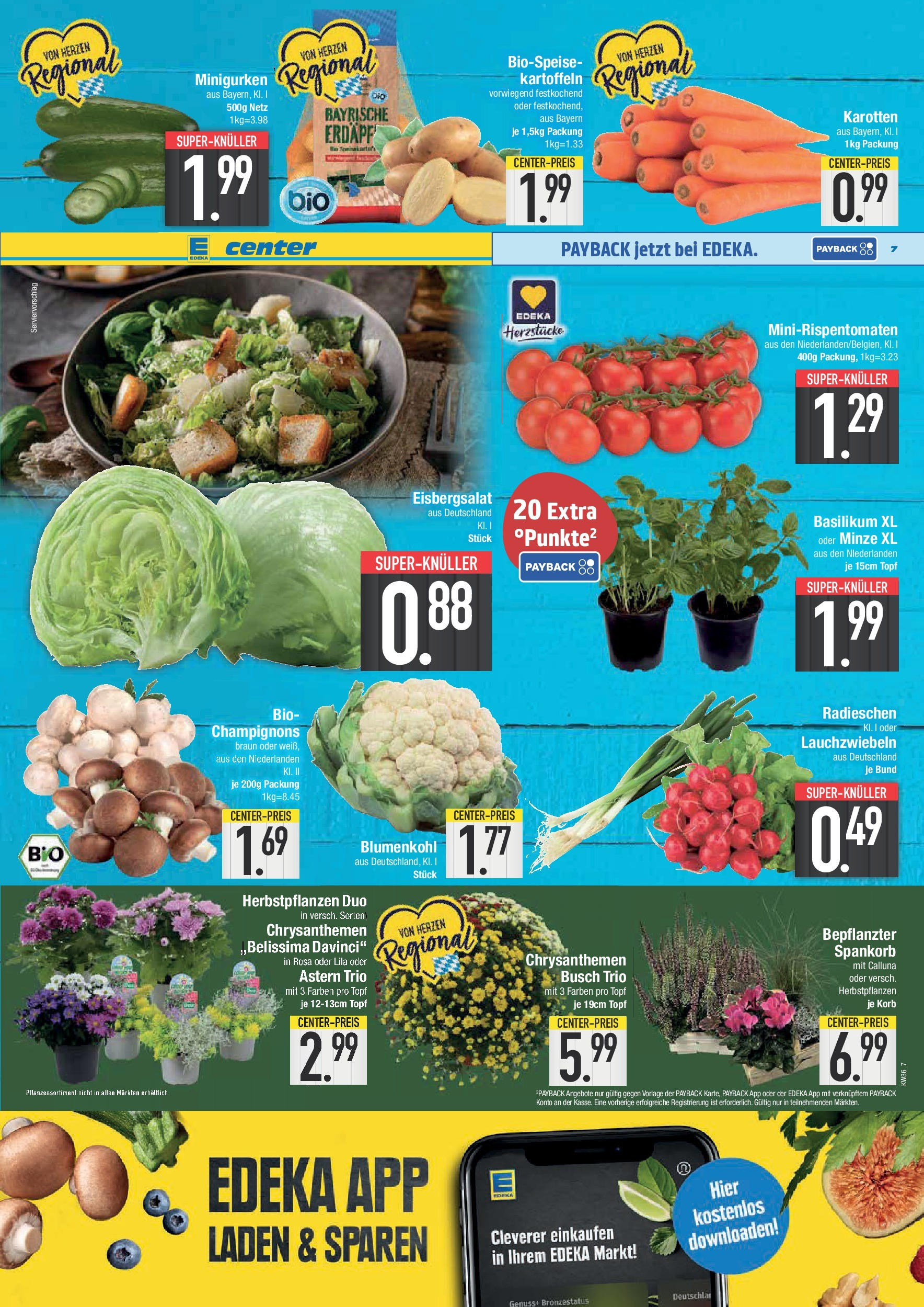 Edeka prospekt Bad Reichenhall	 (ab 01.09.2025) » Angebote Online | Seite: 7 | Produkte: Eisbergsalat, Champignons, Kartoffeln, Blumenkohl