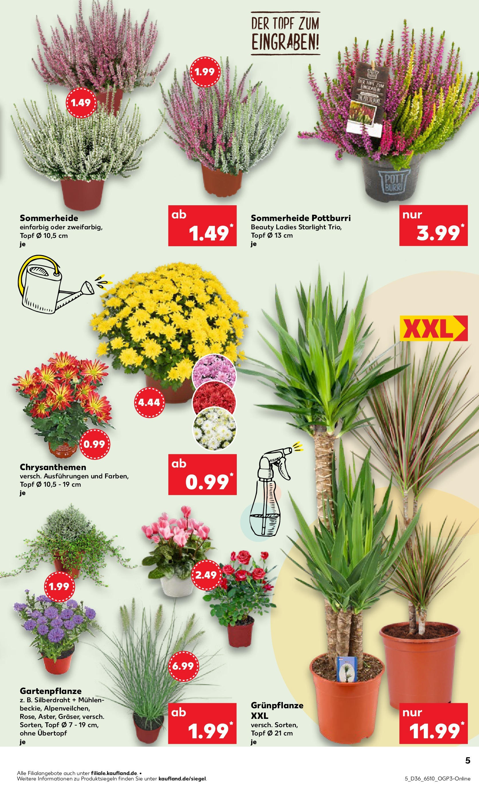 Prospekt Kaufland ab 04.09.2025 » Angebote und Werbung Online | Seite: 5 Prospekt Kaufland ab 04.09.2025 » Angebote Online zum Blättern | Seite: 5