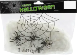 Dekorieren & Einrichten Spinnennetz mit 4 Spinnen