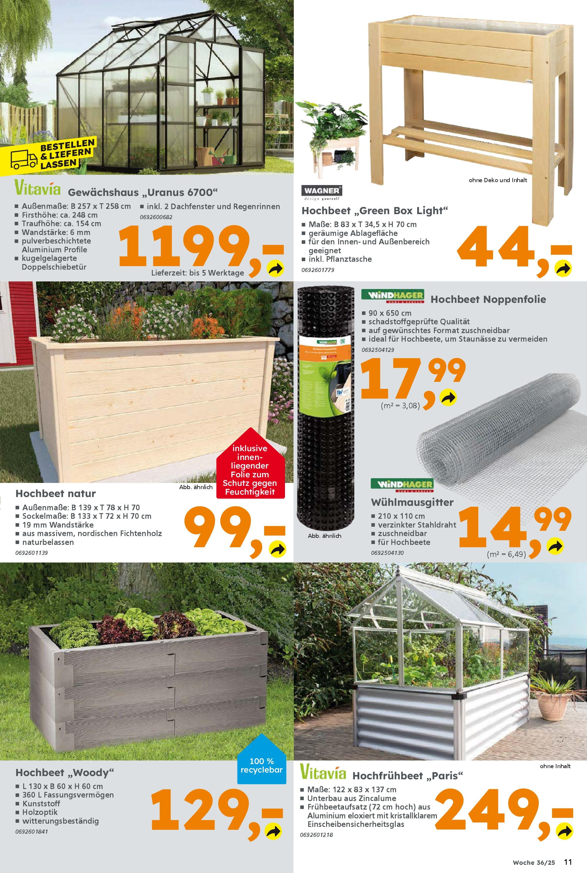 Globus Baumarkt prospekt Ilmenau	 (ab 31.08.2025) zum Blättern | Seite: 11 | Produkte: Hochbeet, Box
