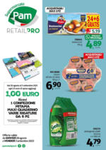 Pam RetailPro Offerte valide da GIOVEDI 28 agosto a VENERDÌ 5 settembre 2025 - al 05.09.2025